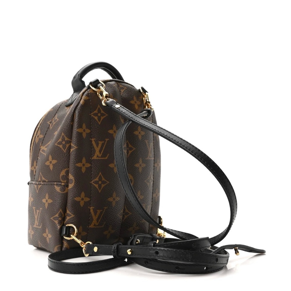 Louis Vuitton mini Palm Springs backpack - Picture 2 of 5